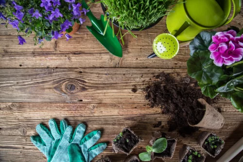 5 Ways to Achieve a Greener Garden