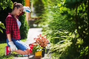 5 Common Beginner Gardening Errors and How to Avoid Them